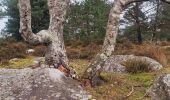 Tocht Stappen Fontainebleau - Boucle Fontainebleau - Photo 2