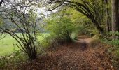 Tour Wandern Ferrières - Logne (Vieuxville) - Izier - Ferrières - My - Photo 7