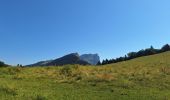 Trail Walking Le Sappey-en-Chartreuse - L'EMEINDRA / HABERT DE CHAMECHAUDE - Photo 6