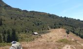 Excursión Senderismo Le Haut-Bréda - Croix du Léat,  Pierre des Pins, Lac et  chalet du Léat en passant par le chalet du bout - Photo 4