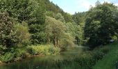 Tour Zu Fuß Waischenfeld - Rundweg Riesenburg - Engelhardsberg - Schottersmühle - Photo 10