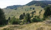 Randonnée Marche Luttenbach-près-Munster - Petit Ballon/Wasserbourg - Photo 4