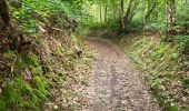 Trail Walking Andenne - Andenne 290823 - Photo 12