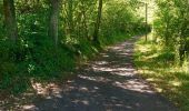 Trail Walking Volvic - La Plaine, Lespinasse  - Photo 1