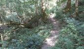 Trail Walking Yvoir - RB3 : GRP125 GR126 et GR129 - Photo 5