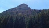 Randonnée Marche Gresse-en-Vercors - Le tour du palais - Photo 11