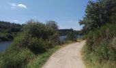 Trail Walking Bütgenbach - Around the lake of Butgenbach - Photo 15
