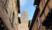 Tour Wandern Albi - Albi 1 - Photo 10