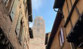 Trail Walking Albi - Albi 1 - Photo 10