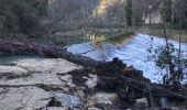 Trail On foot Correns - Correns - circuit-provence-verte-31 - Photo 1