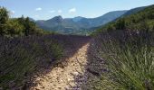 Trail Walking Eyroles - eyrolle  - Photo 4