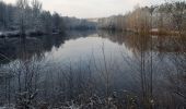 Tour Zu Fuß Forst Kleinschwarzenlohe - Jägersee Bienenweg No.2 - Photo 9