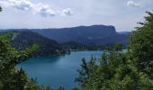 Tour Wandern Veldes - Chateau🏰 de Bled - Photo 1
