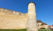 Randonnée Marche Blandy - Boucle autour de Blandy par Corinne  - Photo 15