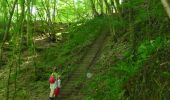Trail On foot Houyet - GrWandArdRiv27: Gendron: een prachtig stuk Beneden-Lesse (PVDB) - Photo 5