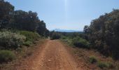 Trail Walking Mornas - Bornas à Saint baudille - Photo 4