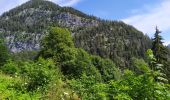 Tocht Stappen Hallstatt - Hallstatt - Photo 12