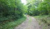 Tour Wandern Lacombe - En forêt de la Loubatière - Photo 7