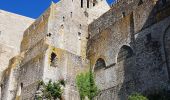 Tour Wandern Le Mont-Saint-Michel - Le Mont St Michel,  Herbus, Sables, et Barrage de La Caserne. - Photo 1