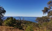 Excursión Senderismo Le Lavandou - les hauts de cavalière - Photo 4