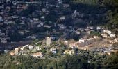 Tocht Stappen La Valette-du-Var - SityTrail - Boucle: Ripelle - Source Ripelle - Tourris - Grottes de sables - Carrière aux fourmis - Ruines des olivières - Touravelle - Ripelle - Photo 13