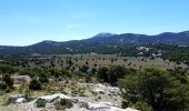 Percorso A piedi Dorgali - Grande Traversata Supramontes Tappa 3 - Photo 4