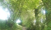 Trail Walking Anthisnes - Hody . drive d Anthisnes . carrière . Targnon . Hestreux . Fond de Sart . Hody - Photo 18