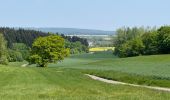 Trail Walking Ormoy-le-Davien - 030422 - Direction Vaucienne puis Vaumoise et Cave du diable - Photo 11