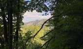 Trail Walking Hastière - GRP 125 : Les crêtes de la Meuse (Hastière) - Photo 13