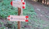 Excursión A pie Malcesine - Sentiero dei Contrabbandieri - Photo 1