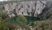 Tocht Stappen Fleury - Le gouffre de l'œil doux - Photo 5