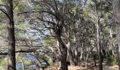 Tocht Stappen Six-Fours-les-Plages - Sentier du littoral  - Photo 2