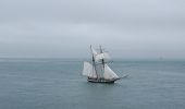 Tour Wandern Arzon - Port Navallo - Photo 15