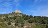 Trail Walking Plan-d'Aups-Sainte-Baume - Plan d'Aups-Sainte Baume - Photo 15