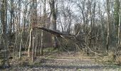 Tour Wandern Sentheim - Autour des quatres villages - Photo 8