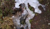 Randonnée Raquettes à neige Le Valtin - février Hohneck  - Photo 2