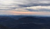Trail Walking Rougon - Le Mourre du Chanier depuis Rougon - Photo 4