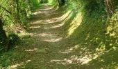 Tour Wandern Ayros-Arbouix - argeles-gasotz - Photo 1
