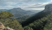 Trail Walking Toulon - Le Faron-D 14-01-2024 - Photo 2