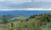 Trail Walking Arphy - Cascade d’Orgon - Photo 4