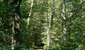 Excursión Senderismo Lieja - angleur . bois st Jacques . sart tilman . bois st laurent . angleur  - Photo 12