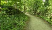 Trail Walking Seine-Port - Seine-Port - Forêt de Bréviande - Photo 2