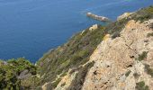 Trail Walking Hyères - Tour de l’île de Port Cros - Photo 2