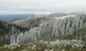 Tour Zu Fuß Unknown - Cheia - Curmătura Stânii - Cabana Vf. Ciucaș - Photo 1