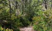 Tour Wandern Monieux - gorge de la Nesque via GR9 - Photo 5