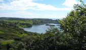 Trail On foot West Cork - Walk 5 - Lough Hyne (7km) - Photo 3