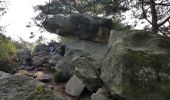 Tour Wandern Noisy-sur-École - Sentier des 25 bosses (1ère moitié) - Photo 4