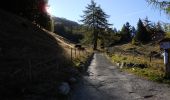 Trail On foot Nendaz - Mayens-de-Sion ouest - Planchouet - Photo 9