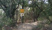 Excursión Senderismo Labastide-de-Virac - Les gorges par 1000 étoiles  - Photo 10