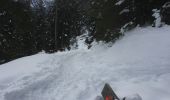 Tocht Sneeuwschoenen Orsières - Champex Lac - Belvédère - Champex Lac - Photo 3